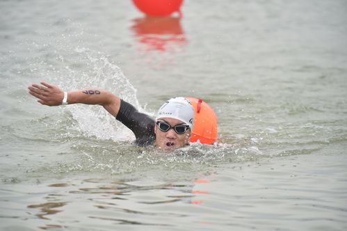 游泳选手在水中奋力前行