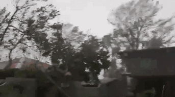 亲历者讲述：第一视角下台风剑鱼的恐怖威力