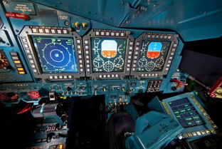 俄军飞行员座舱惊现LABUBU，背后故事引关注