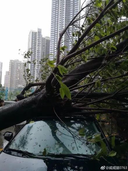 台风剑鱼威力惊人，或将成三亚40年来最强台风！