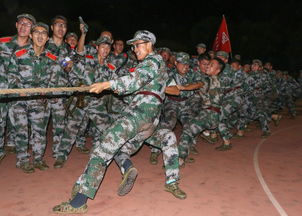 美洲杯：美国男篮爆冷输球，加洛韦25+5三分成徒劳