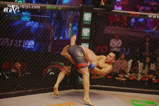 蒙古EWC登顶！天禄喜提底座，电竞圈沸腾啦！