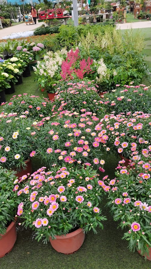 京东七夕买鲜花表白名场面，惊喜满满！