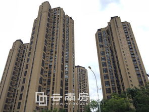 众多房企纷纷涌向万亿新赛道