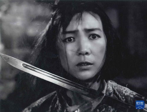 吉林省领导会见‘人民艺术家’田华，背后故事引关注！