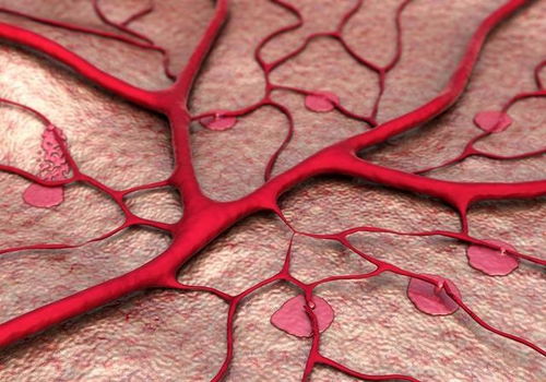 这个动作能防血栓？太神奇啦！