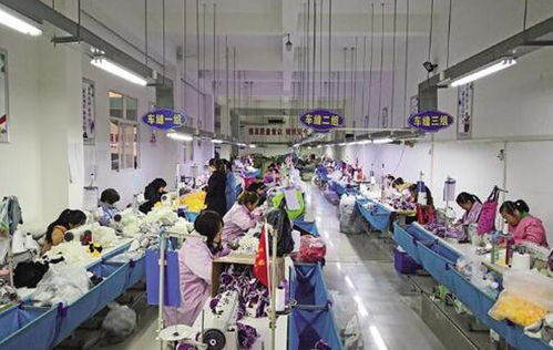 一组数据解读海关'十四五'成绩单背后的秘密