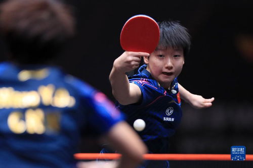 孙颖莎4 - 2力克王曼昱夺冠，实力尽显王者风范