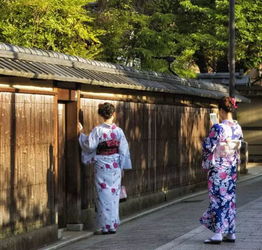 日本引进黑人计划背后的那些事儿