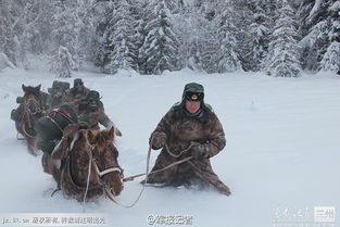 电视剧《归队》到底有多好看？
