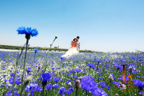 情侣拍摄结婚证照片