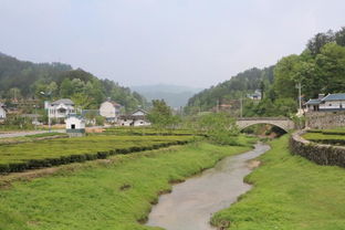 《生万物》未成乡土神剧？背后原因大揭秘！