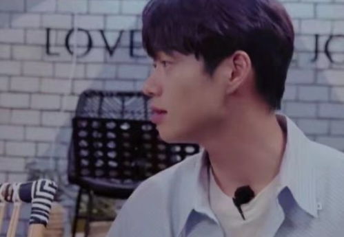 魏大勋父亲公司被执行233万背后的故事