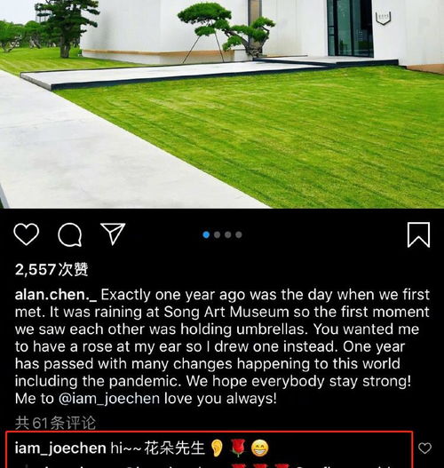 陈乔恩艾伦：偶像剧般的爱情照进现实啦！