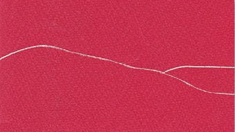 特朗普欲年内访华？中方回应引关注