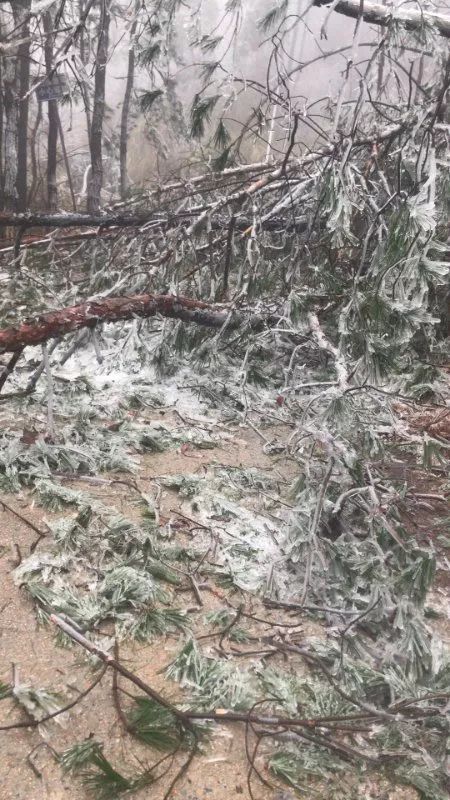 游客遇台风被困三亚，酒店玻璃弯曲似要散架