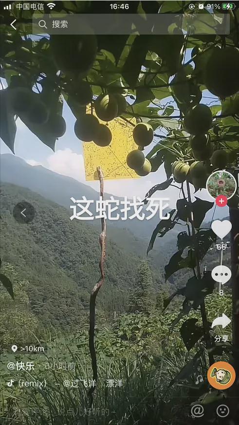 杭州男子进山遇五步蛇想抓玩，被喷毒险丧命