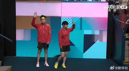 莎头组合在比赛中