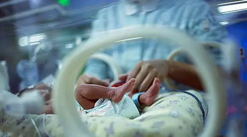 震惊！丹麦女婴出生仅1小时就被政府强行抱走，背后真相令人咋舌