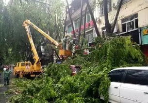 人在囧途！游客遇台风被困三亚，保安严控出入