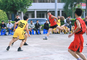 利物浦客战纽卡斯尔：3 - 2惊险绝杀背后的精彩对决