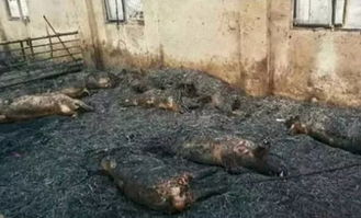 惨痛！多起溺亡事故敲响安全警钟