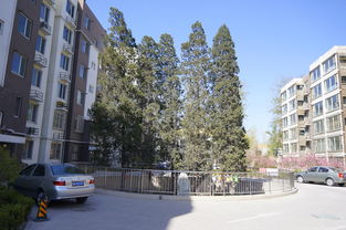 中柬友谊标志物