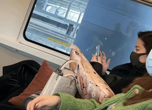 刘亦菲在成都高铁站被网友偶遇