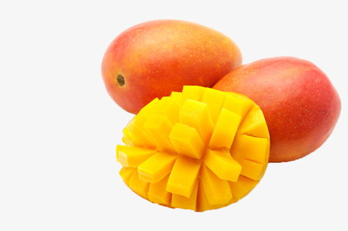 芒果相关活动现场情况