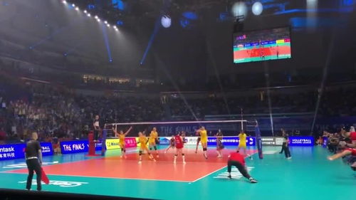 比赛现场观众沸腾的画面