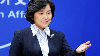 郑丽文表示做好接棒准备