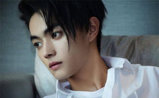 许凯被包养传闻