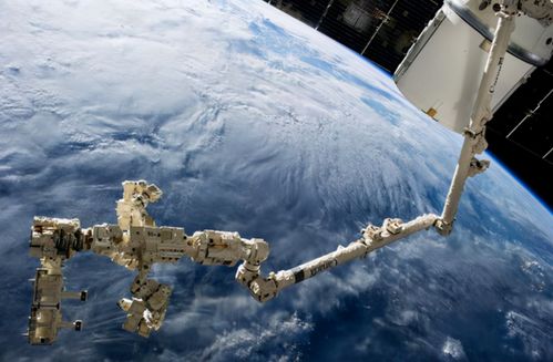 “身首离断”患者竟被救活，背后故事太震撼！