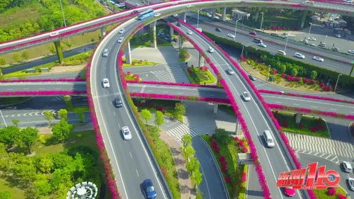 沈阳‘高架网红葫芦’被摘，背后故事引关注