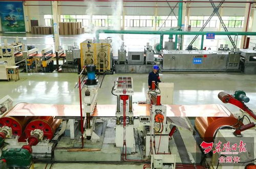 红舞鞋下的商业传奇：曾芳勤与领益智造的兴衰之路