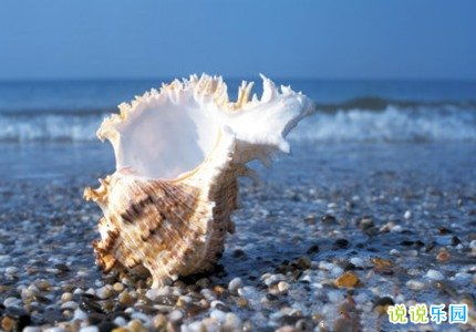 台风'剑鱼'后海滩惊现海量海鲜，市民争相捡拾