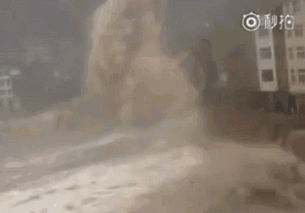 狂风卷起树叶的画面