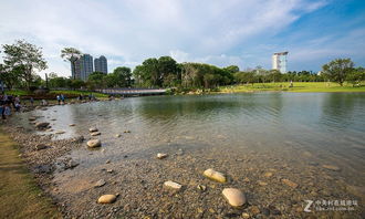 深圳公园里的美丽风景