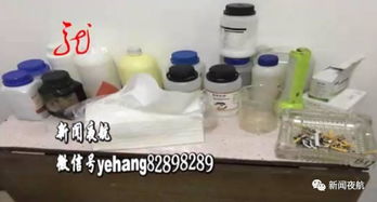 孩子们，你们的网络安全‘文具’配齐了吗？