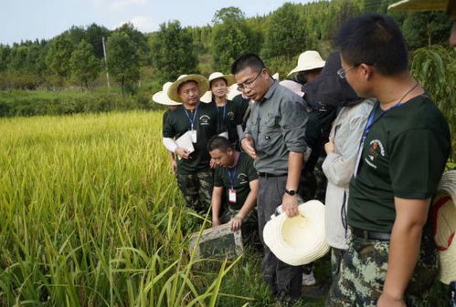 贵州22岁村支书意外离世，乡政府证实已安葬