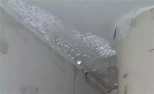 酒店浴缸惊现红线虫，住客遭遇令人咋舌！