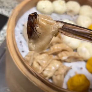 酒店自助早餐里的蟑螂示意图