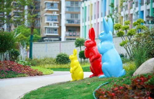 上海一小学今年仅招到22人背后的故事