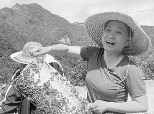 尹春燕书记工作照