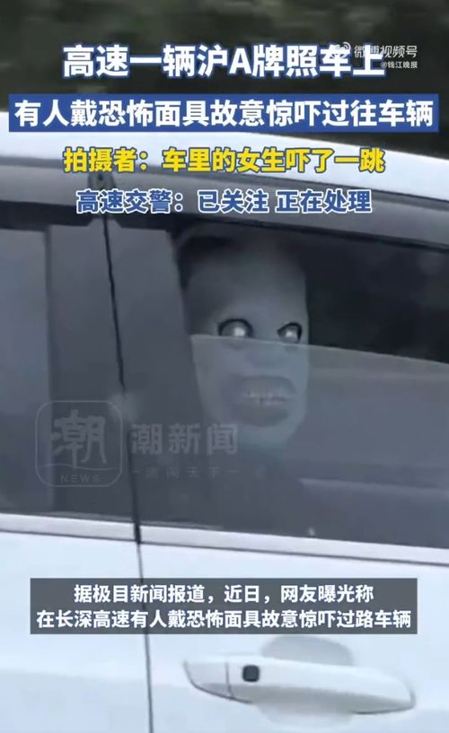 交警调查