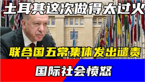 国际社会谴责画面