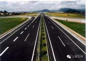 高速公路上的涉事车辆