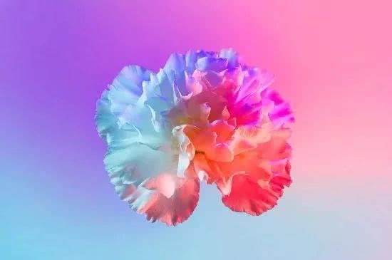 七夕特刊 | 那些藏在心里的告白信