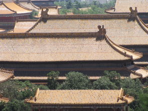 故宫‘龙吐水’盛景再现，古人排水智慧令人惊叹！