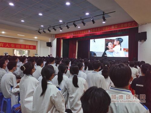 学生认真观看反诈微电影